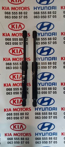 Амортизатор капота газовий Хендай Санта фе 3