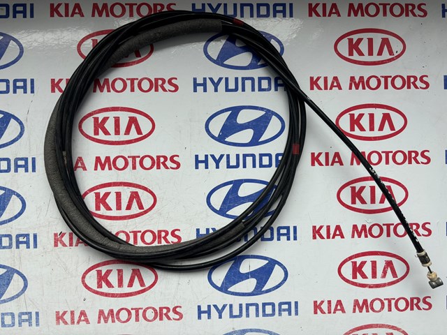 Деталі двері 812801E000 HYUNDAI