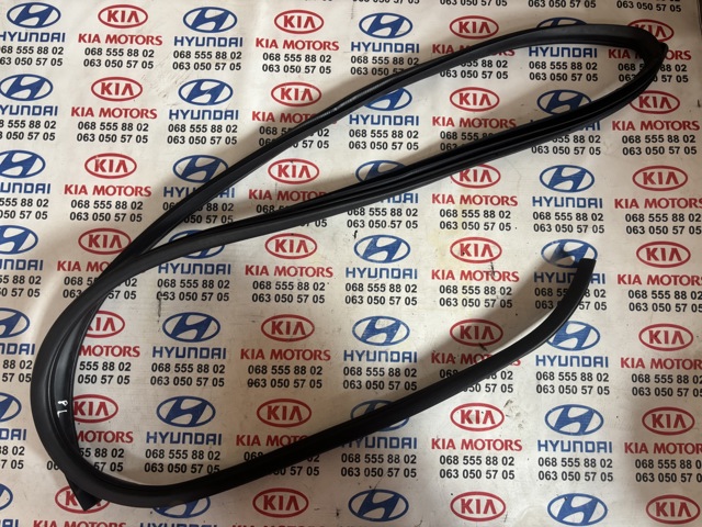 Ущільнювач дверей передніх, лівих (на кузові) 821101H000EQ HYUNDAI