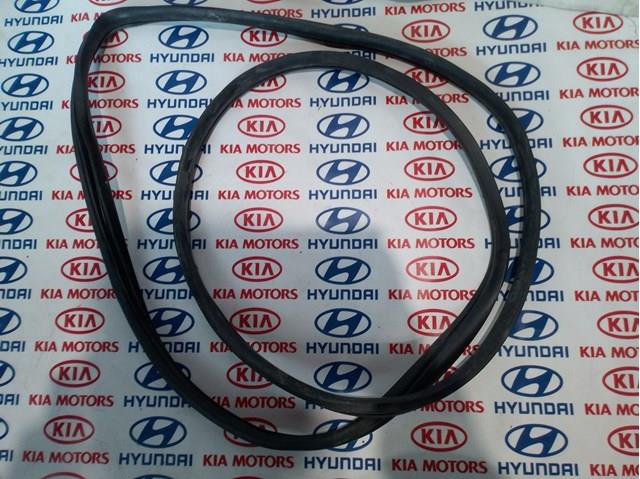 Прокладка дверей передніх, лівих (на кузові) 821102E000WK HYUNDAI