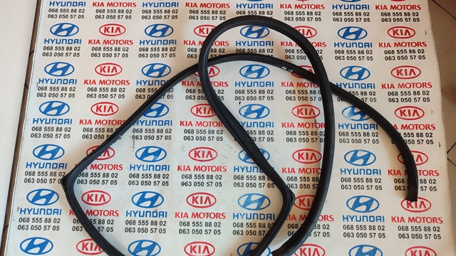 Прокладка дверей передніх, лівих (на кузові) 821102K000 HYUNDAI