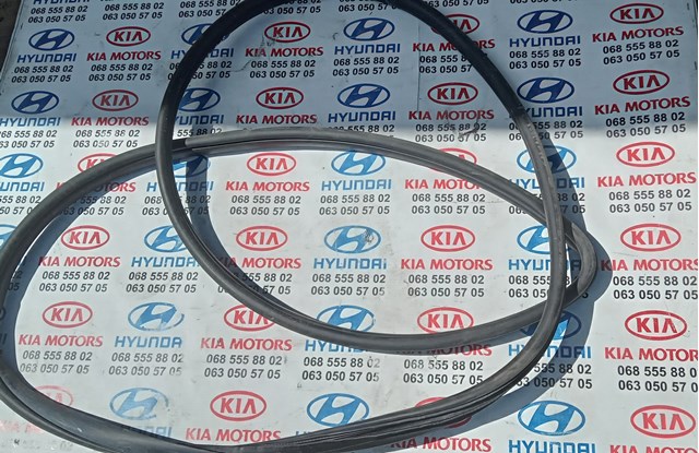Ущільнювач дверей передніх, лівих (на кузові) 821102P000 HYUNDAI