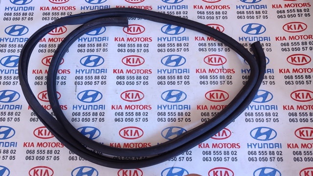 Ущільнювач дверей передніх, лівих (на кузові) 821102T000 HYUNDAI