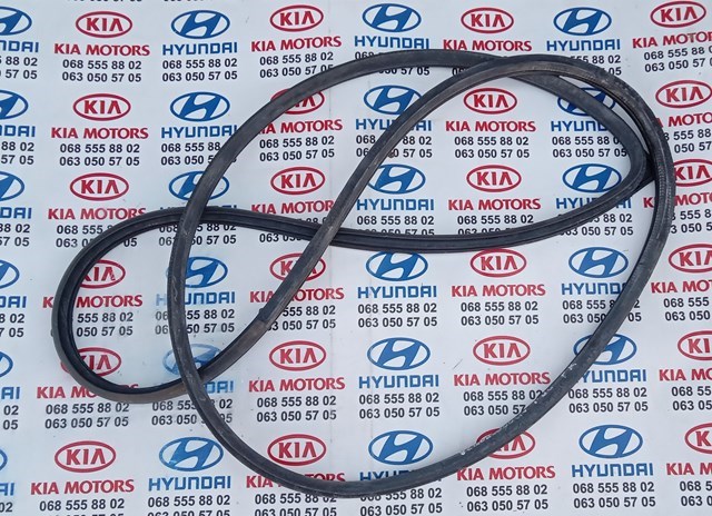 Ущільнювач двері передньої правої (на кузові) 821202P000 HYUNDAI