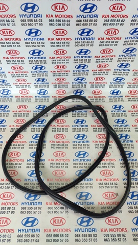 Ущільнювач двері передньої правої (на кузові) 82120A6000 HYUNDAI