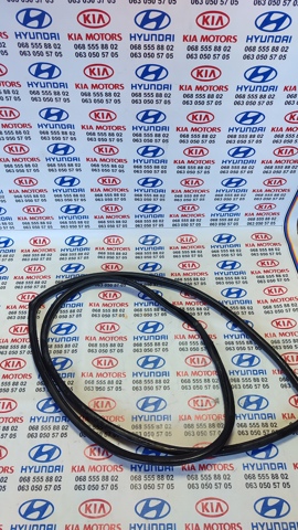 Ущільнювач двері передньої правої (на кузові) 82120A7000 HYUNDAI