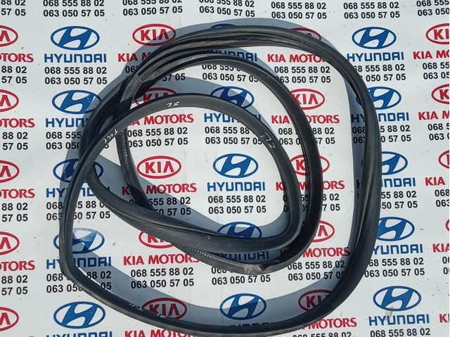 Ущільнювач двері задньої лівої (на кузові) 831102E001 HYUNDAI