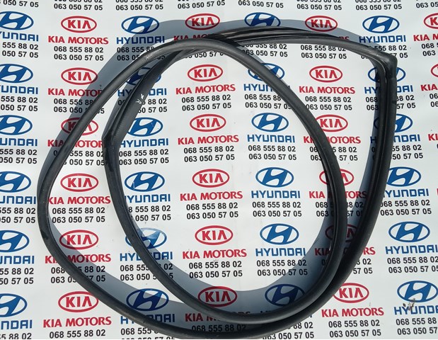 Прокладка дверей задніх, правих (на кузові) 831202E001 HYUNDAI