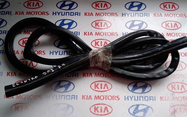 Ущільнювач дверей задніх, правих (на кузові) 831202H001 HYUNDAI