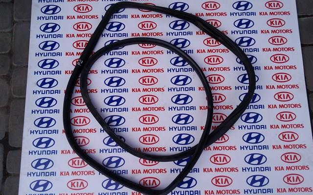 Прокладка дверей задніх, правих (на кузові) 831203U000 HYUNDAI