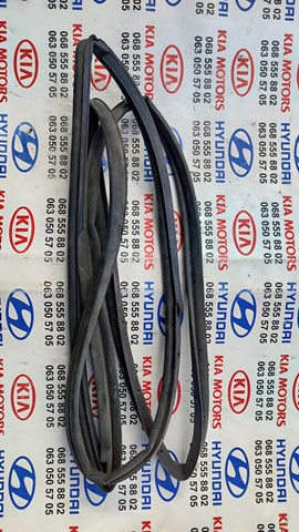 Ущільнювач дверей задніх, правих (на двері) 831402H000 HYUNDAI