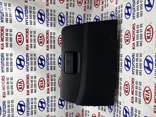 Ящик для предметів догляду 845102Y1009P HYUNDAI