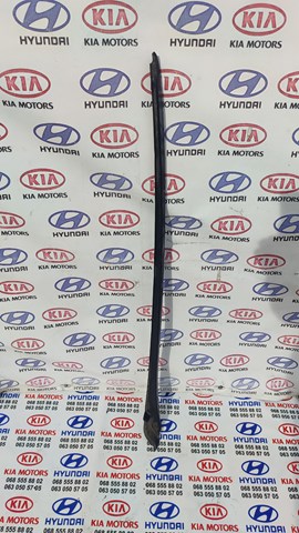 Захисна накладка переднього скла 861312L000 HYUNDAI