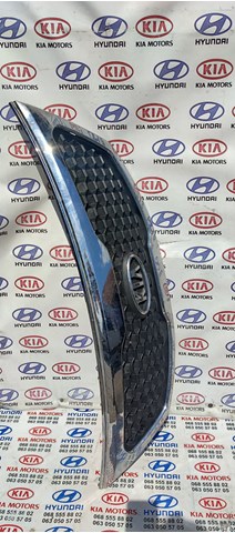 Захисна решітка радіатора 863502P000 HYUNDAI