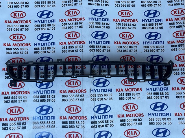 Решітка переднього бампера 865613E500 HYUNDAI