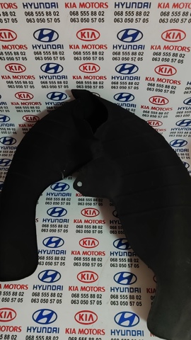 Підкрилок заднього крила, лівий 86821S2000 HYUNDAI