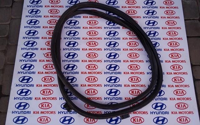 Ущільнювач задніх 3/5-й двері 873213U000 HYUNDAI