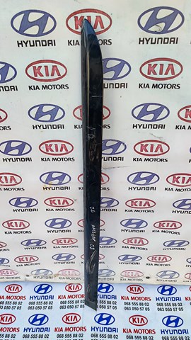 Молдинг задніх лівих дверей 877311E000 HYUNDAI