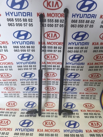 Амортизатор задньої ляди 90450EY10A NISSAN
