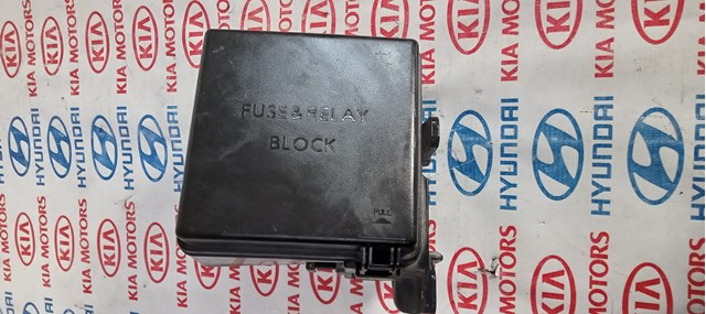Коробка запобіжників 919501H040 HYUNDAI