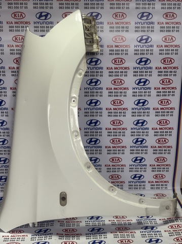 Переднє праве крило F3100JD0M0 NISSAN