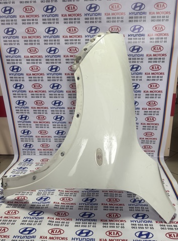 Бічна частина передня ліва F31011KKAA NISSAN