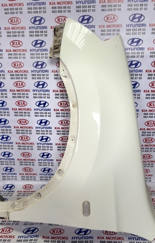 Ліве переднє крило F3101JD0M0 NISSAN