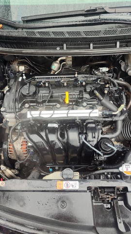G4NA Hyundai/Kia