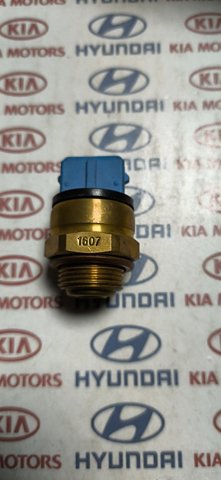 Датчик температури радіатора TS1556 VERNET