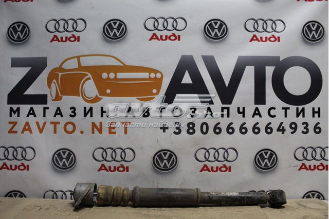 Амортизатори задні 6Q0513025BL VAG