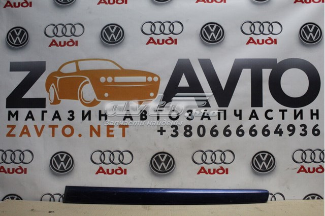 Молдинг задніх лівих дверей 6Q4853753A VAG