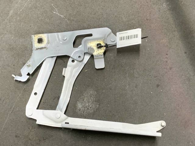 Завіса капота права 80A823302C VAG