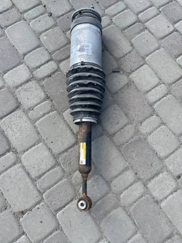 Амортизатор задньої підвіски 102746100E TESLA