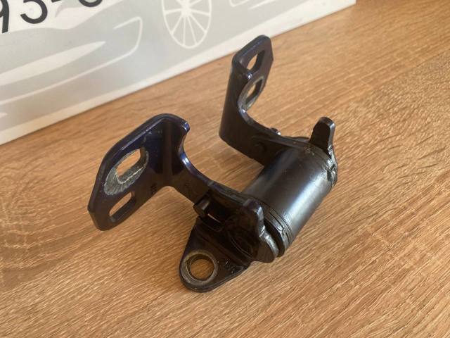 Петля передніх дверей 600954900F TESLA