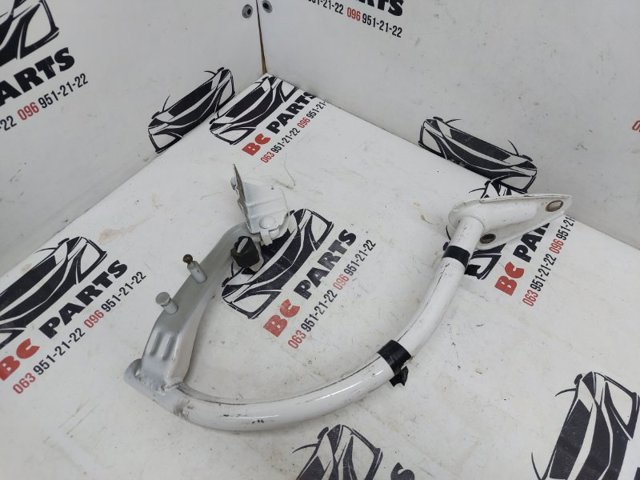 Петля кришки багажника 3C8827301A VAG