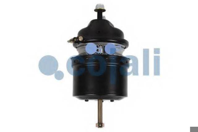 Балони повітряні пневмогальм 2251510 COJALI