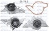 Водяний насос A195 DOLZ