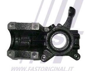 Цапфа передні праві FT13516 FAST
