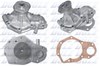 Водяний насос R125 DOLZ