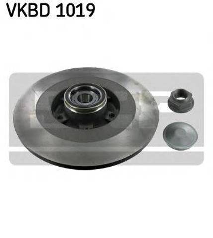 Задні дискові гальма VKBD1019 SKF