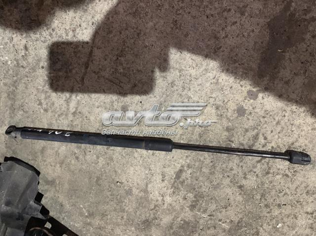 Амортизатор двері задньої 2047400145 MERCEDES