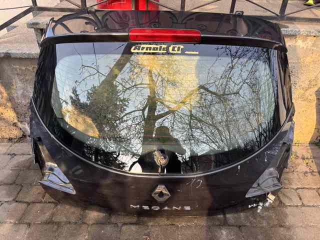 Задня ляда 901002517R RENAULT