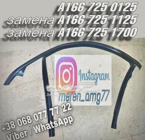 Направляюча скла рамки двері, переднього ліва A1667251125 MERCEDES