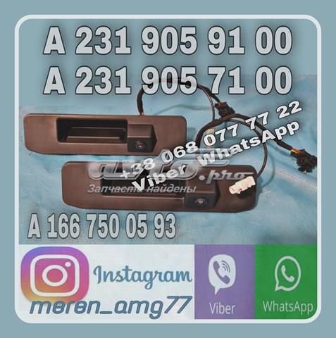 Камера заднього виду A2319057100 MERCEDES