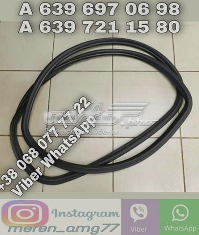 Прокладка дверей передніх, лівих (на кузові) A6396970698 MERCEDES