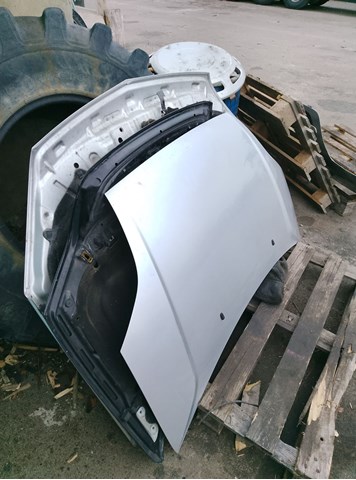 Капот 1143983 FORD