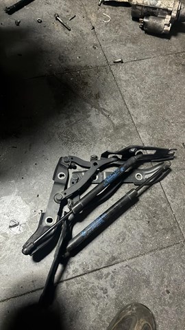 Амортизатор задньої ляди 51247250308 BMW
