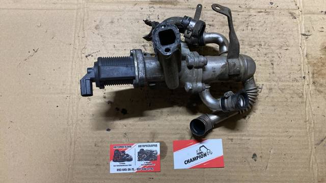Клапан рециркуляції відпрацьованих газів EGR 55204941 FIAT