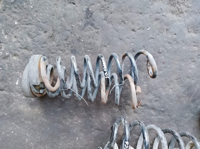 Пружина задня 8200708061 RENAULT