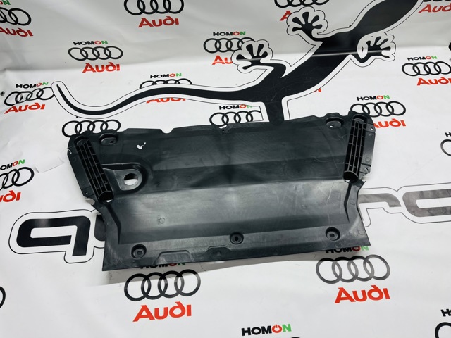 Захист ДВС 8W0863821B VAG